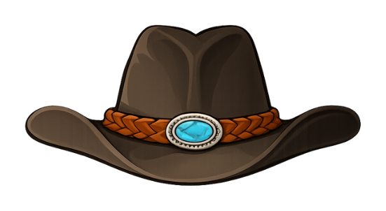 Braided cowboy hat skin